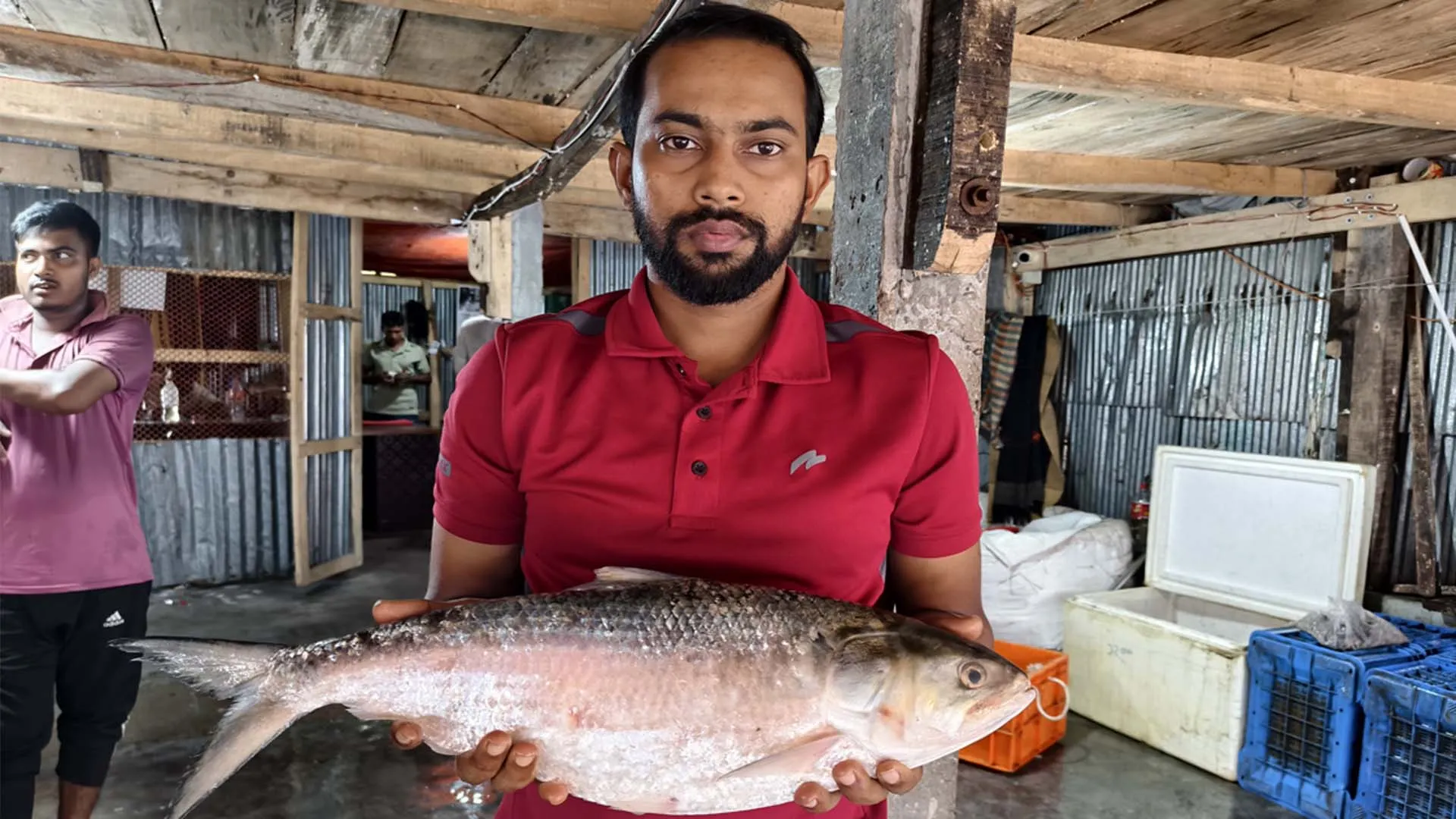 কুয়াকাটায় ২ কেজির ইলিশ বিক্রি ৭২০০ টাকায়